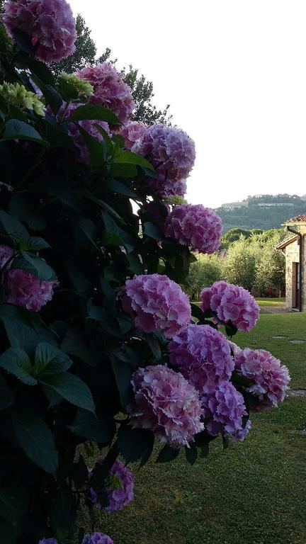 Montepulciano Stazione Frateria Di San Benedettoヴィラ エクステリア 写真